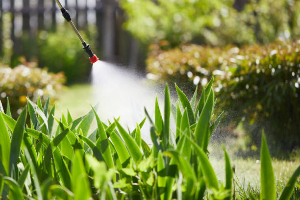 Tamper-Resistant Bait Stations for Rodents in Campbell
