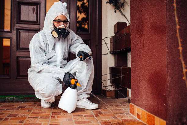 Attic and Crawl Space Rodent Treatment in Campbell